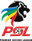 Premier Soccer League